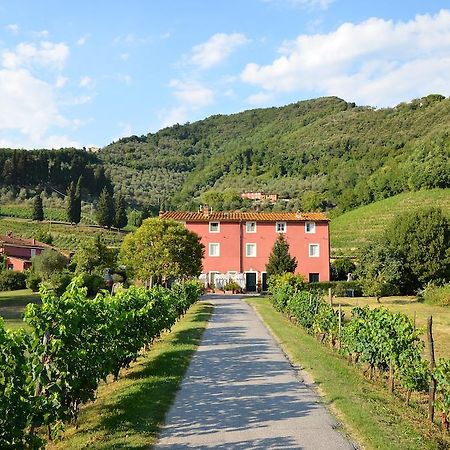 Agriturismo Le Murelle لوكا المظهر الخارجي الصورة