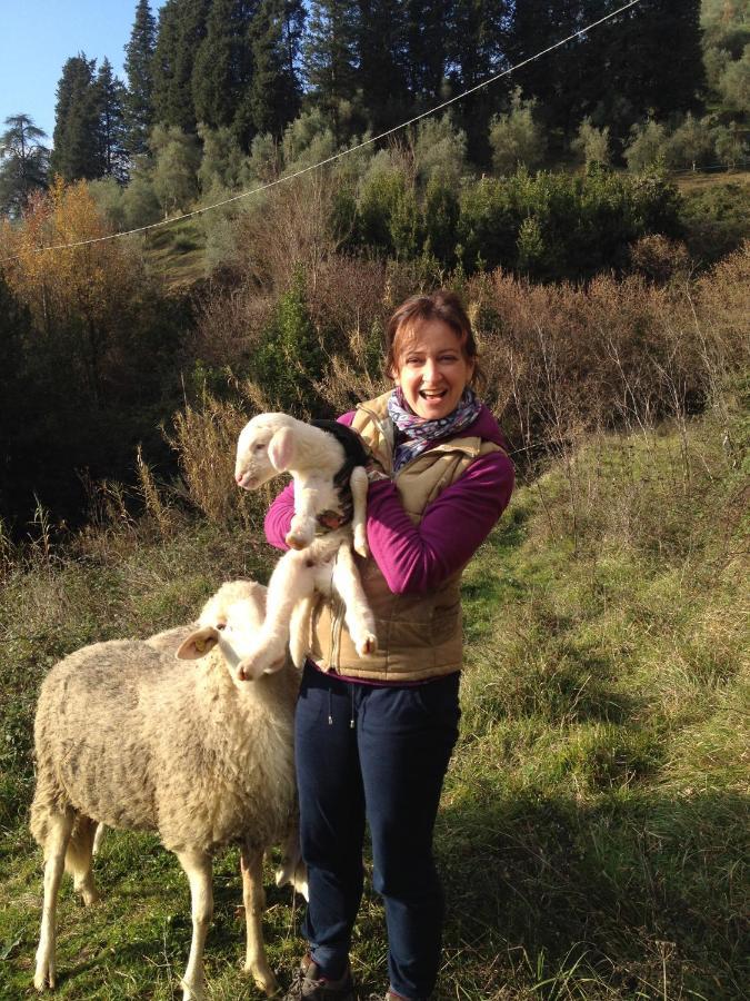 Agriturismo Le Murelle لوكا المظهر الخارجي الصورة