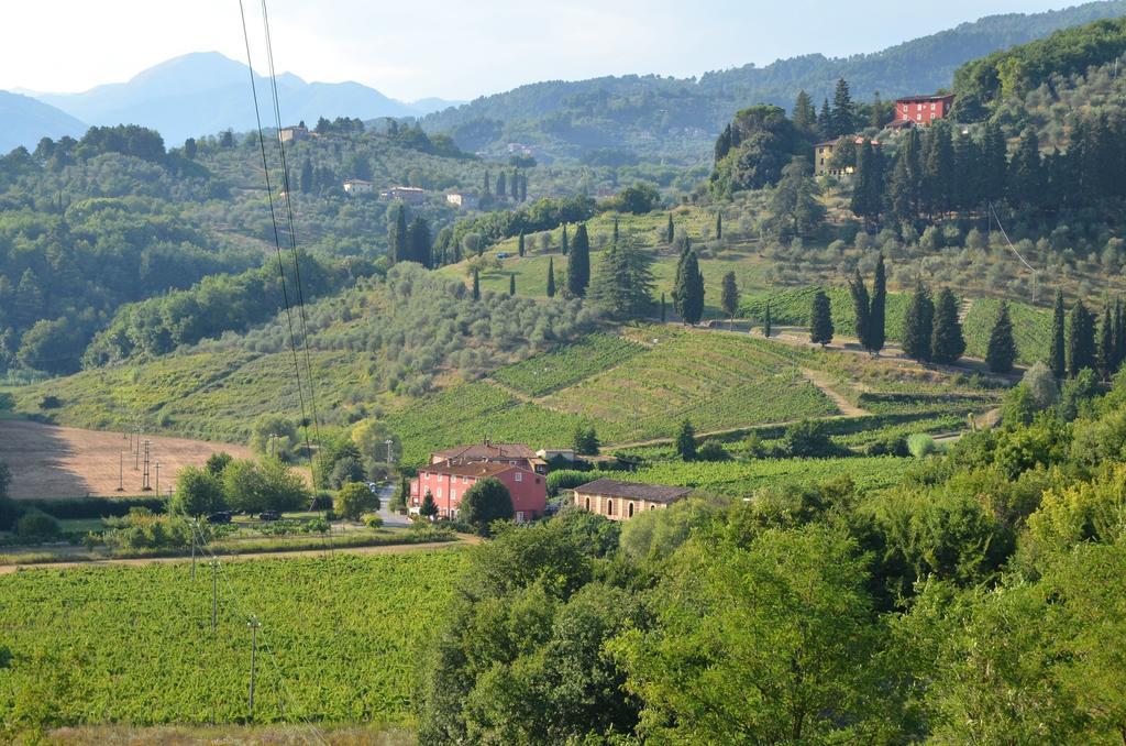 Agriturismo Le Murelle لوكا المظهر الخارجي الصورة