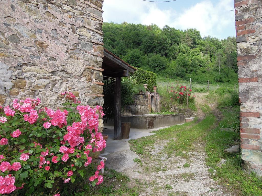 Agriturismo Le Murelle لوكا المظهر الخارجي الصورة
