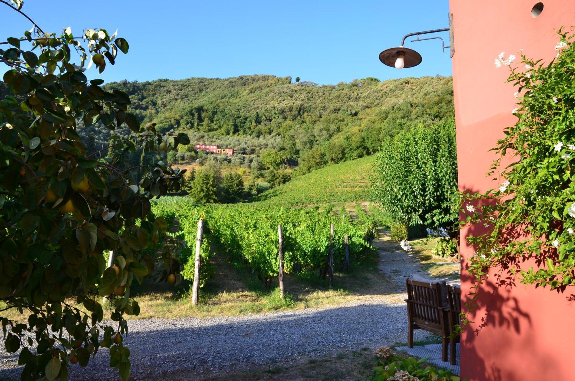 Agriturismo Le Murelle لوكا المظهر الخارجي الصورة