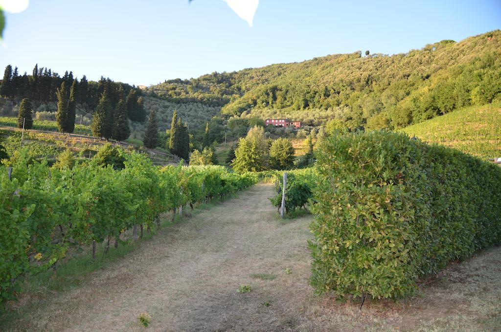 Agriturismo Le Murelle لوكا المظهر الخارجي الصورة
